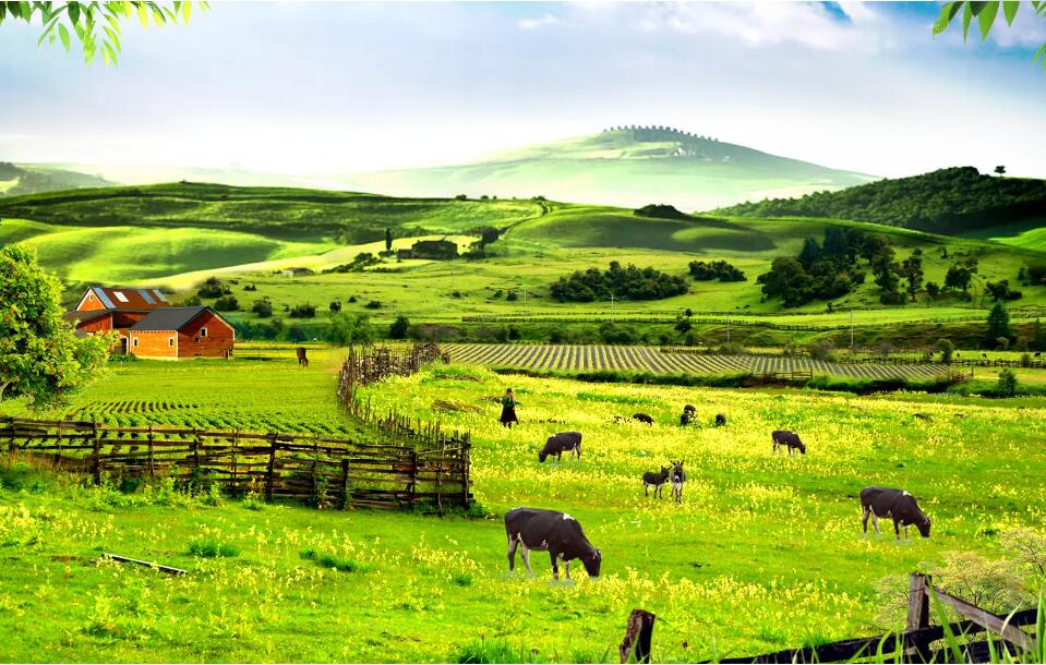 農(nóng)場(chǎng)產(chǎn)品品牌策劃全案 農(nóng)場(chǎng)產(chǎn)品品牌策劃全案