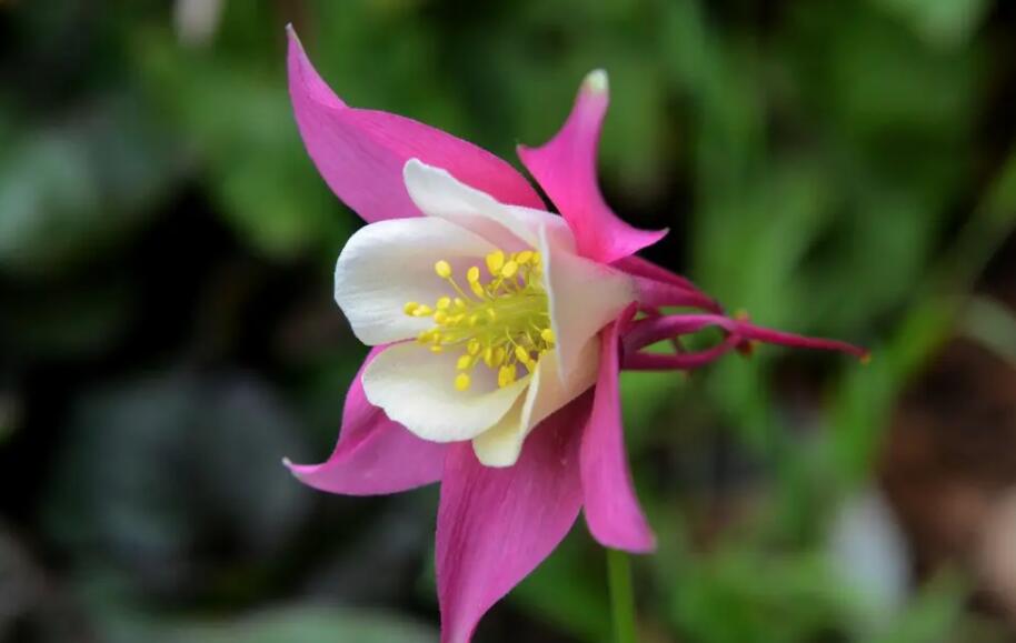 1661397084172748.jpg 123.jpg