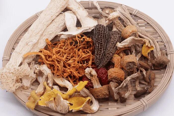 蘑菇品牌全案策劃 蘑菇品牌全案策劃