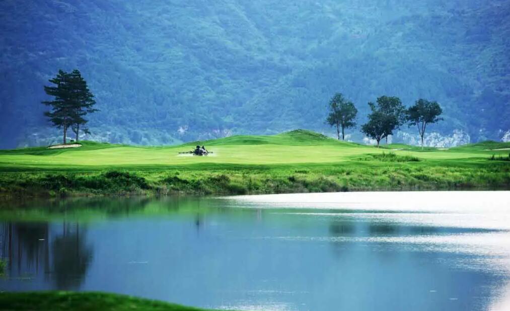 旅游公司品牌全案策劃 旅游公司品牌全案策劃