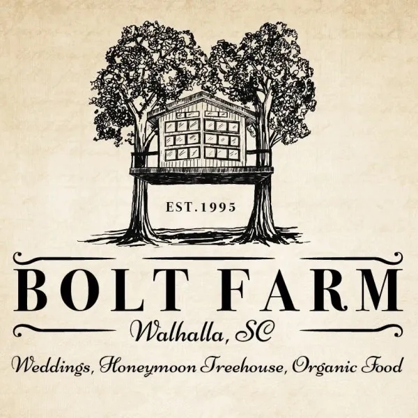 1663832820201635.jpg 婚紗logo設計理念