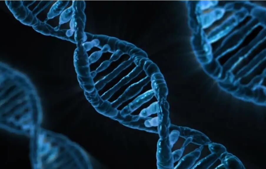 生物科技vi設(shè)計(jì) 生物科技vi設(shè)計(jì)