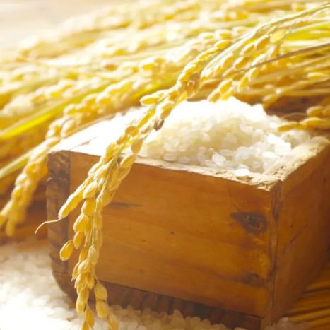 品牌策劃能給企業(yè)帶來什么價值